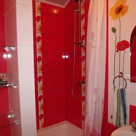 Apartamento квартира-студия в стиле Truskavets